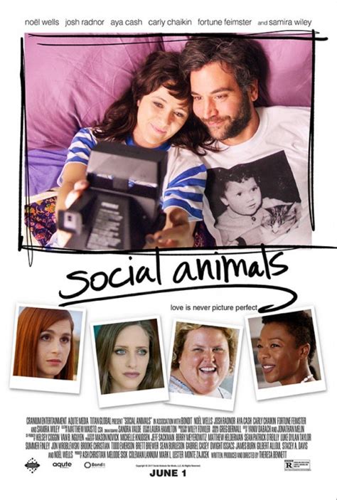 m4ufree social animals